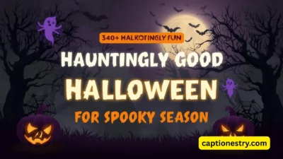 340+ Hauntingly Good Halloween Captions for Spooky Season