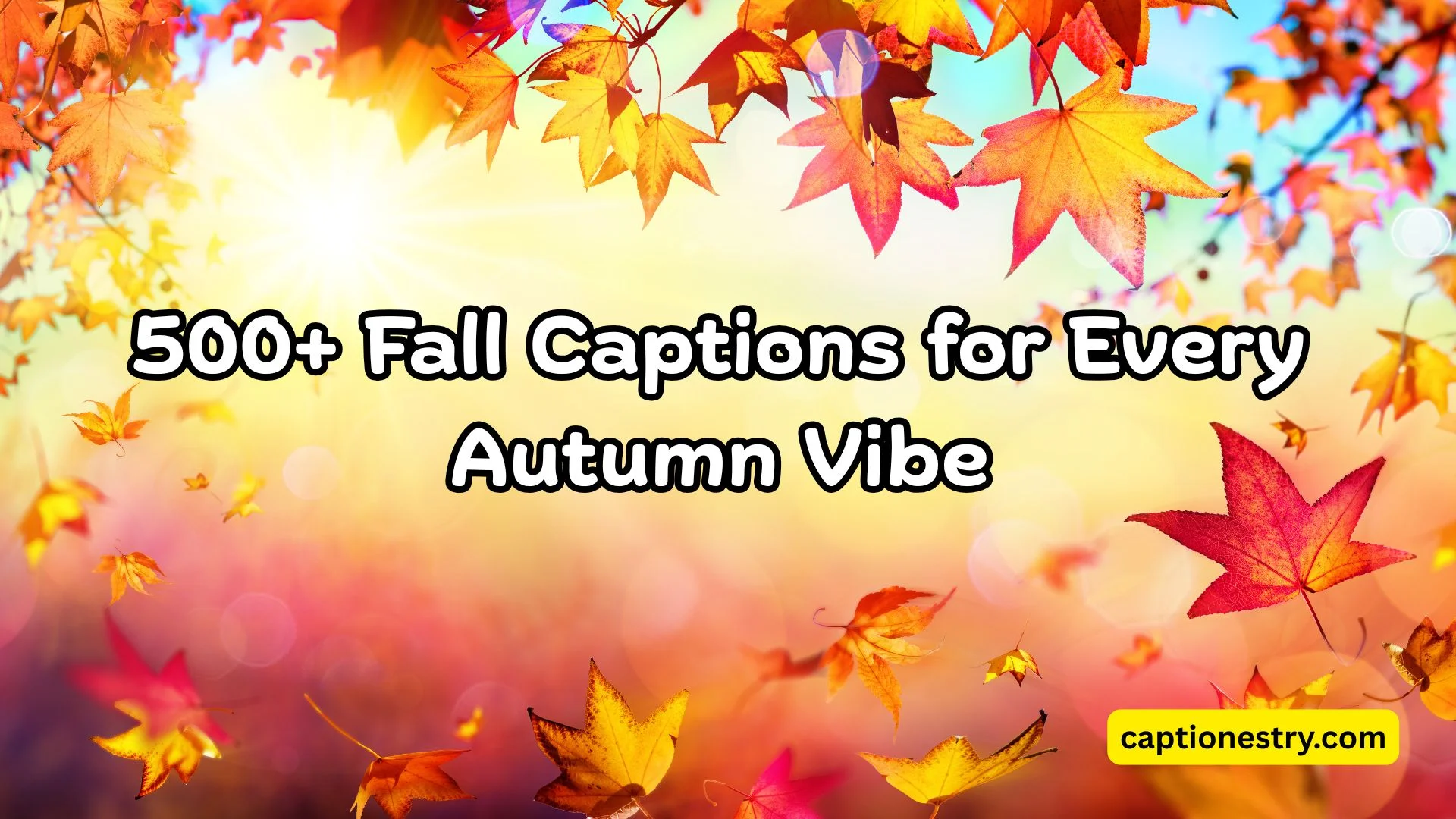 500+ Fall Captions for Every Autumn Vibe