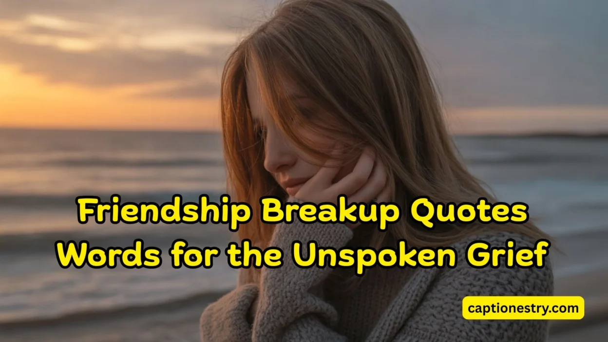 Friendship Breakup Quotes Words for the Unspoken Grief