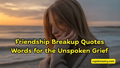 Friendship Breakup Quotes Words for the Unspoken Grief